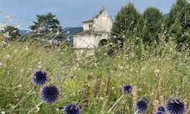 Esplorando la Biodiversità