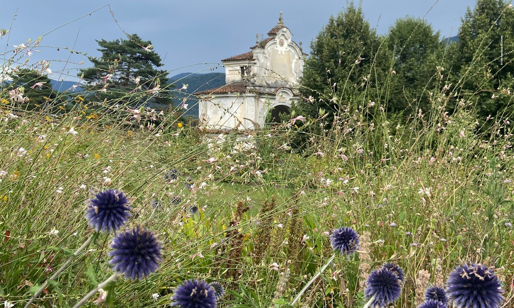 Esplorando la Biodiversità