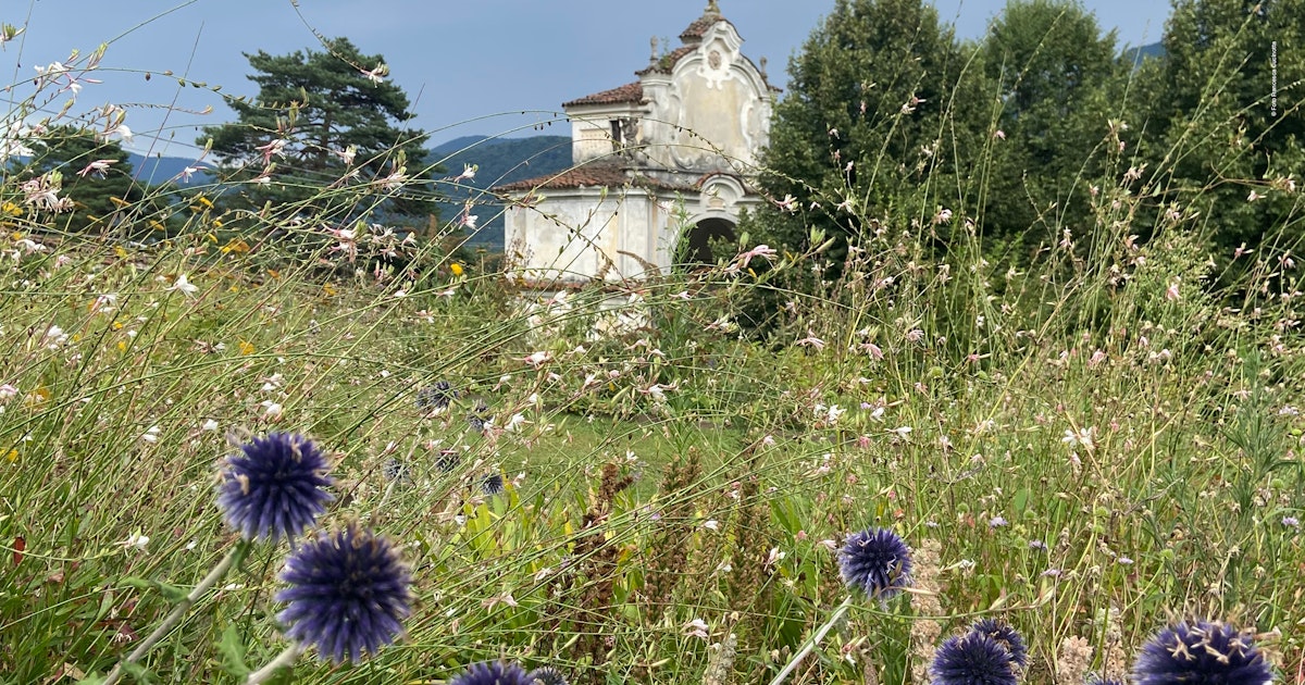 Esplorando la Biodiversità