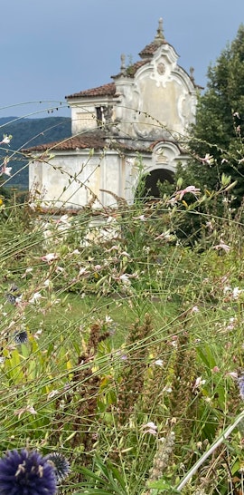 Esplorando la Biodiversità