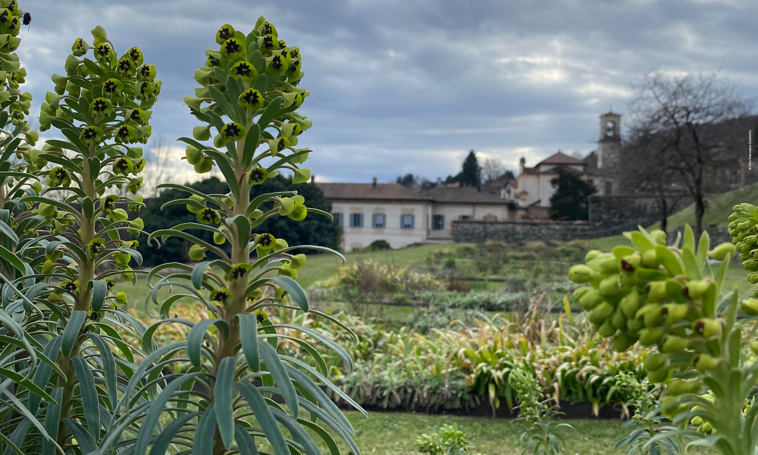 Esplorando la Biodiversità