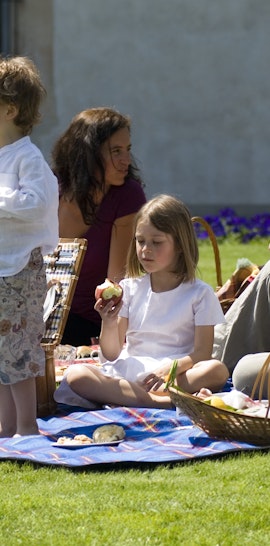 Picnic in Villa