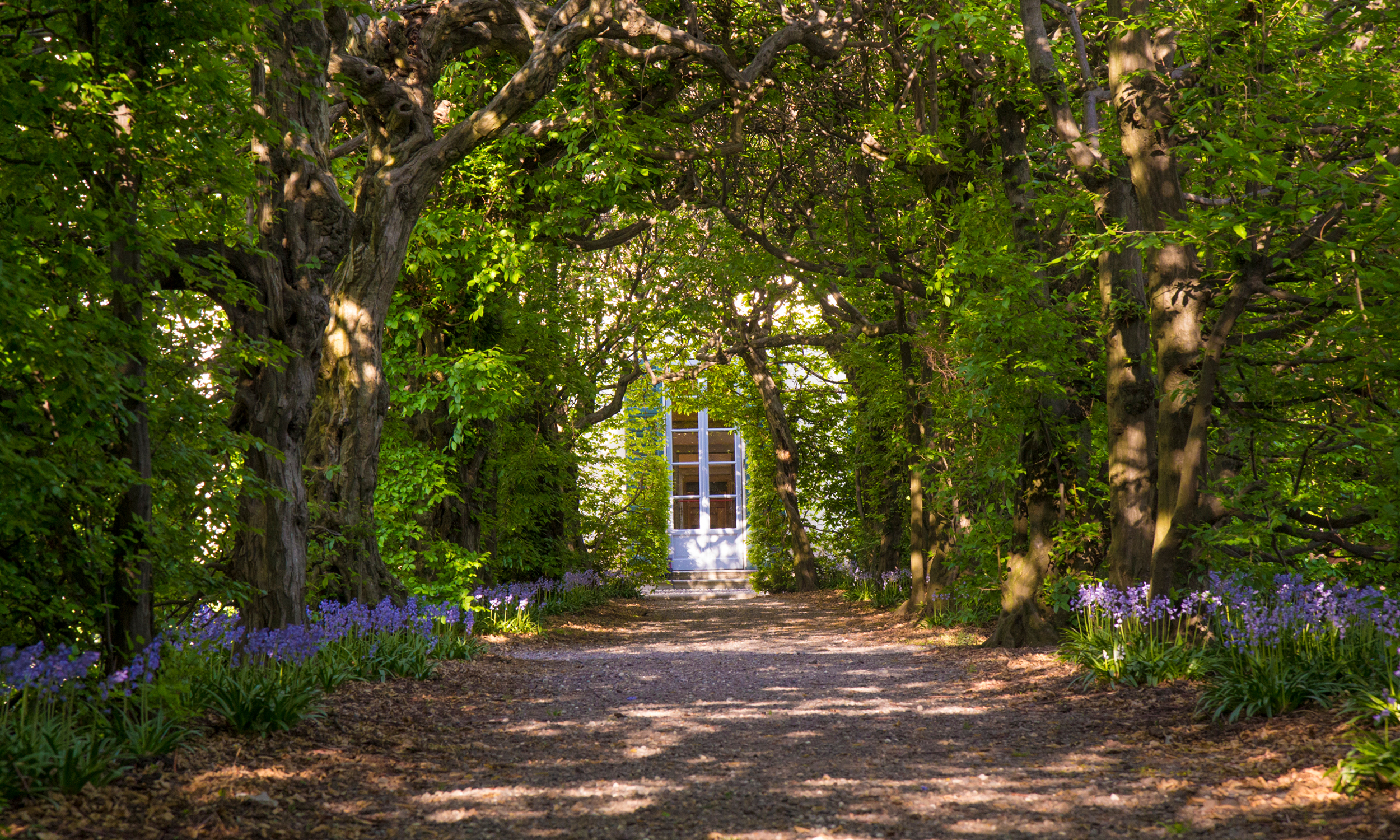 Appuntamento in giardino