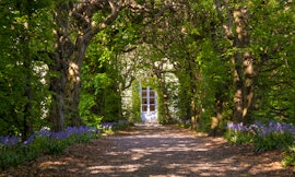 Appuntamento in giardino