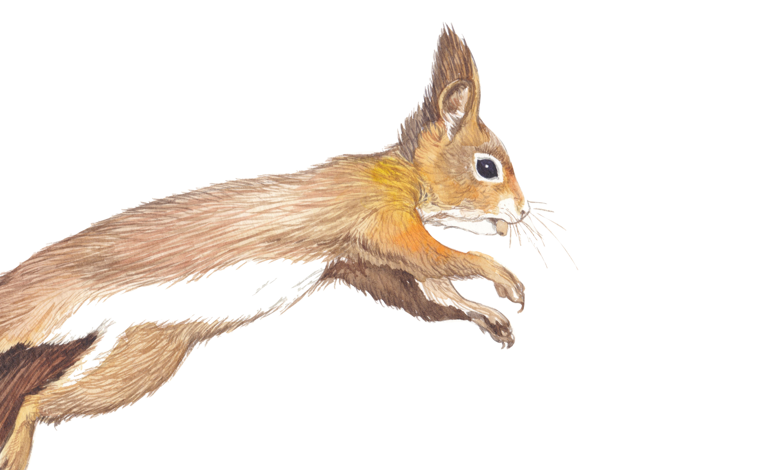 Mondi vicini, mondi lontani: alla scoperta del giardino