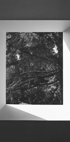 Giorgio Colombo. Fotografie dalla Collezione Panza