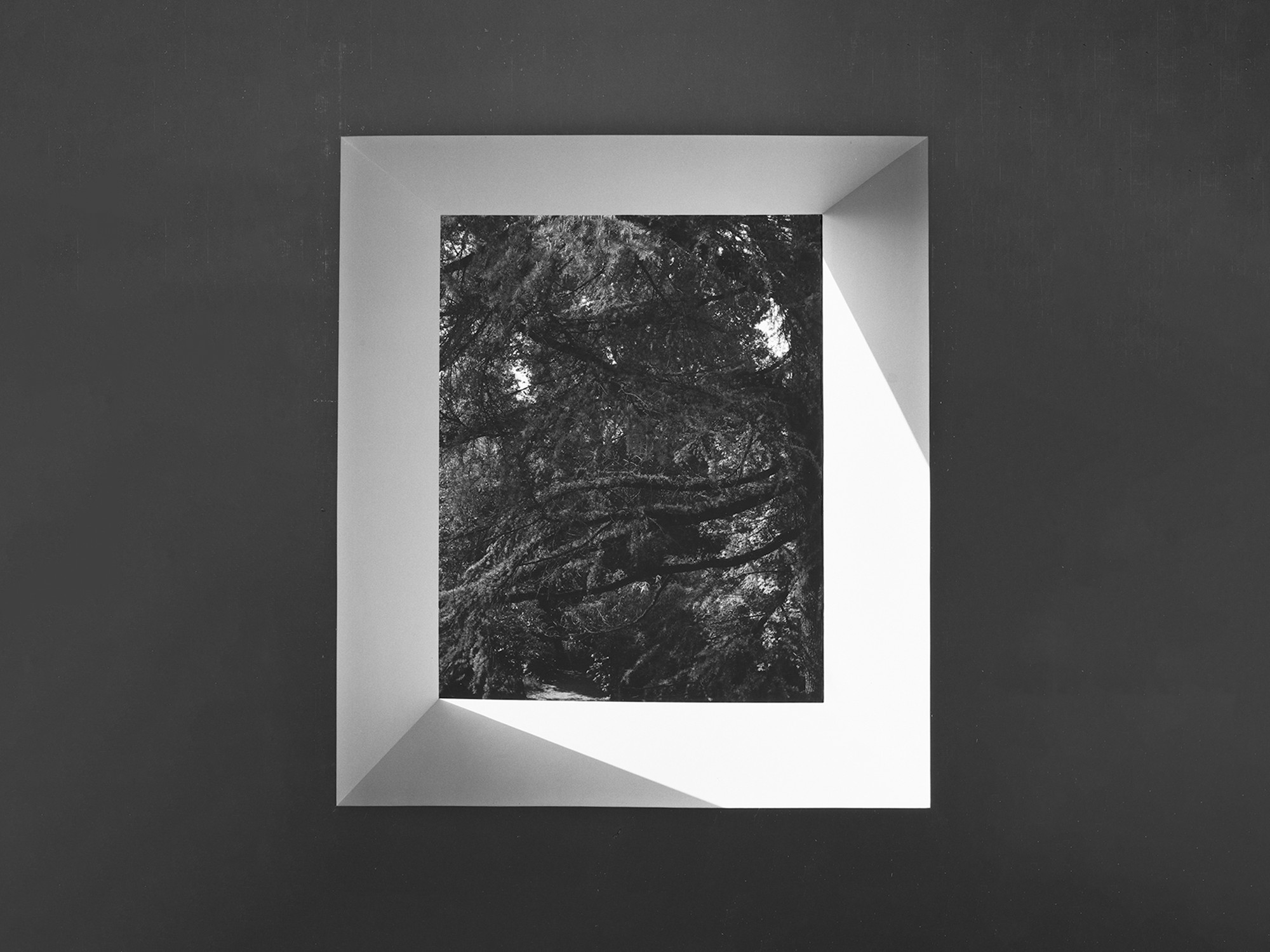 Incontri al tramonto a Villa Panza con...