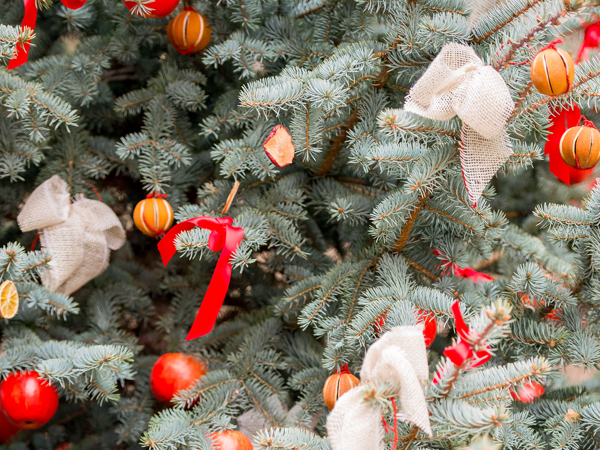 Magia d'inverno a Villa Panza