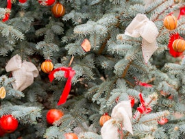 Magia d'inverno a Villa Panza