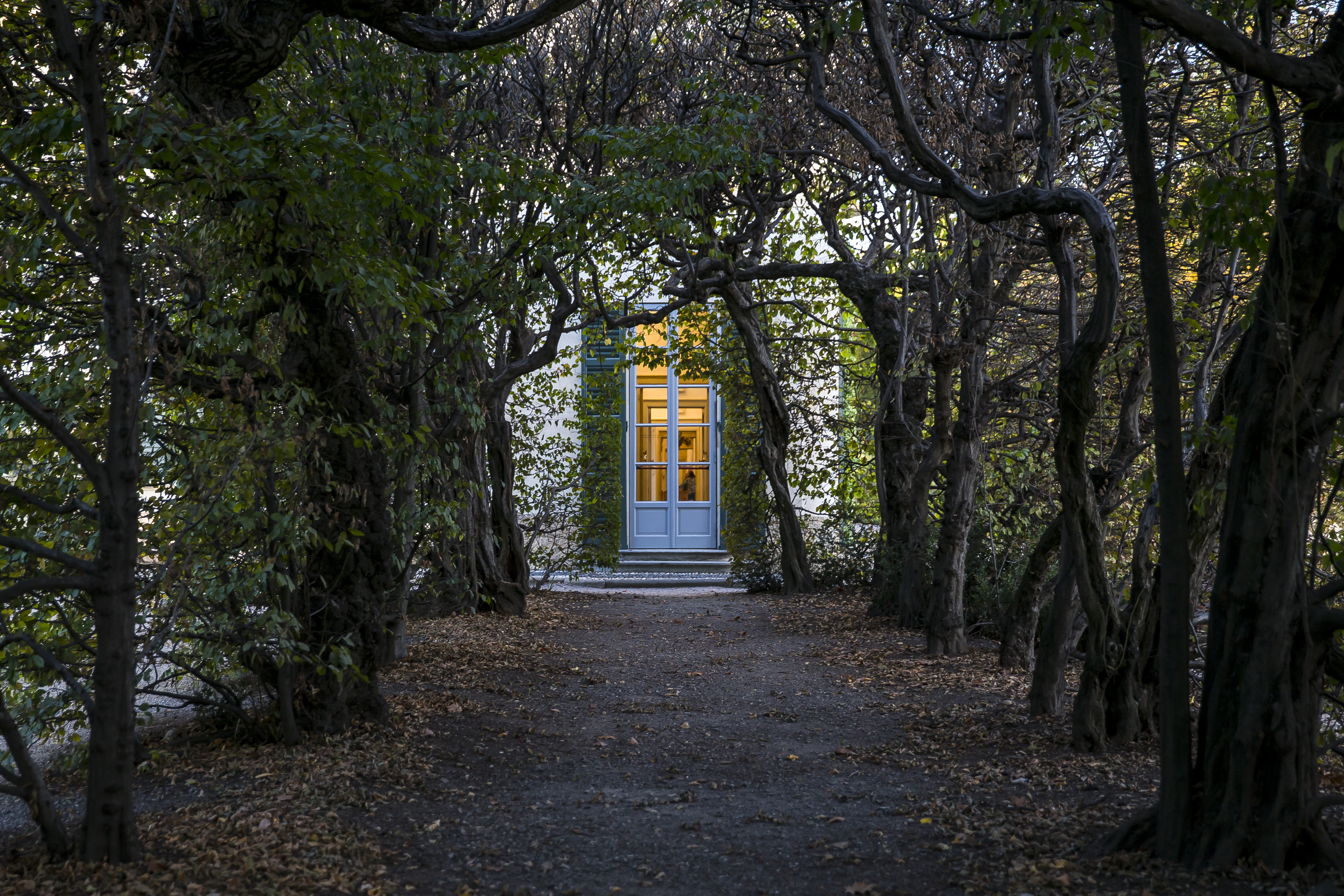 Pietro Bruni. Il giardino racconta