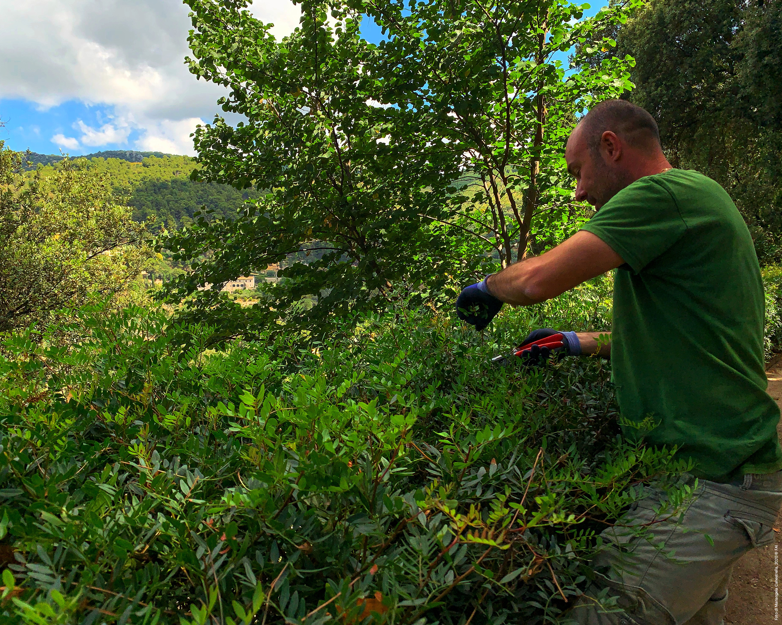 Dialoghi con il giardiniere