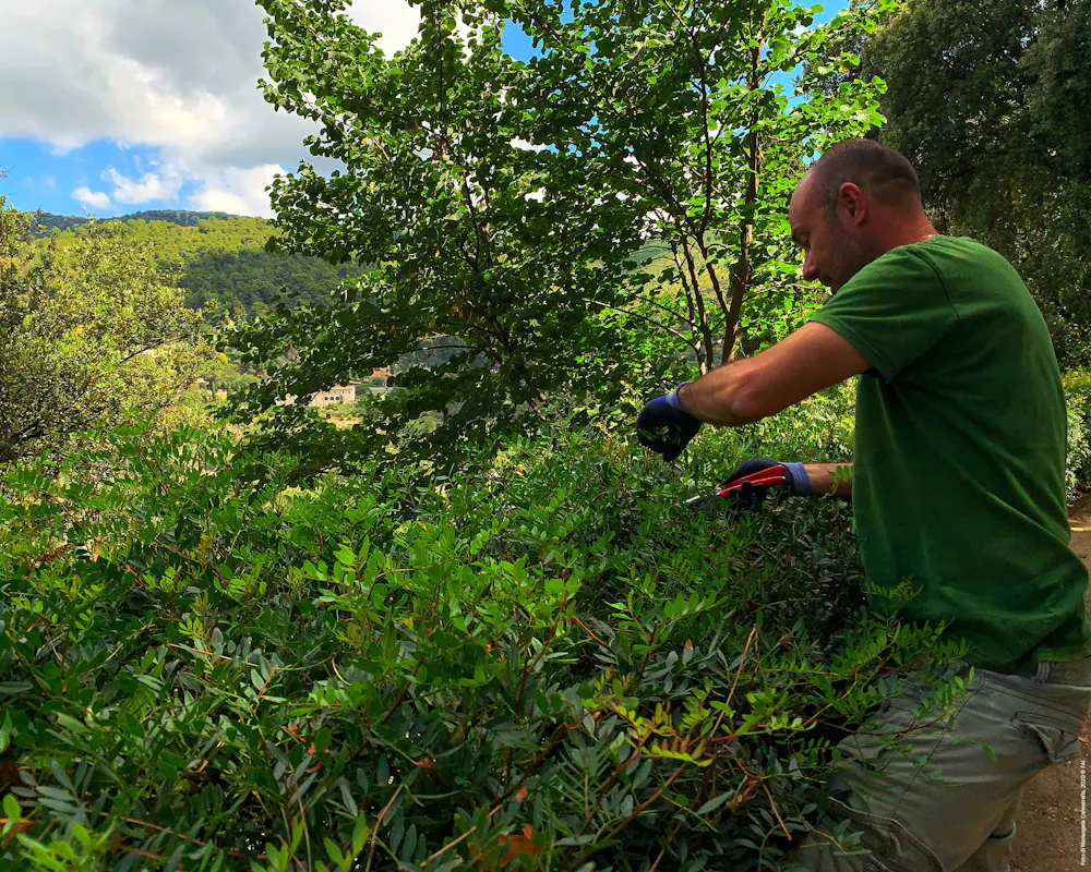 Dialoghi con il giardiniere Dialoghi con il giardiniere