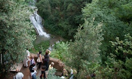 Dialoghi con il giardiniere