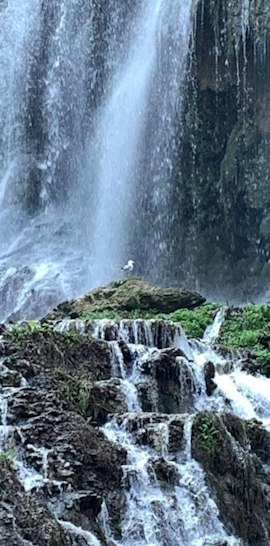 Dove l'acqua incontra la storia - una giornata alla scoperta di Villa Gregoriana