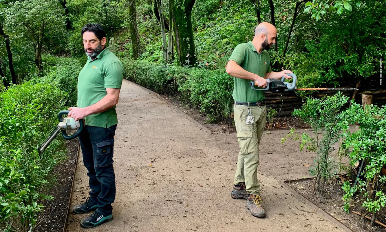 Lezioni di giardinaggio Lezioni di giardinaggio