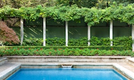 Appuntamento in Giardino