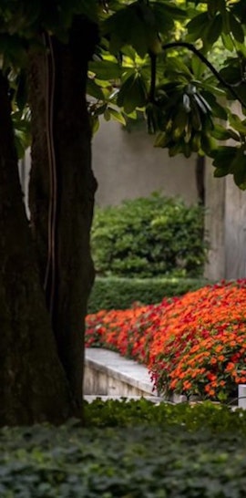 Dal giardino privato di Villa Necchi Campiglio ai Giardini pubblici di Via Palestro