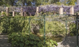 Presentazione Guida Grandi Giardini Italiani 2026