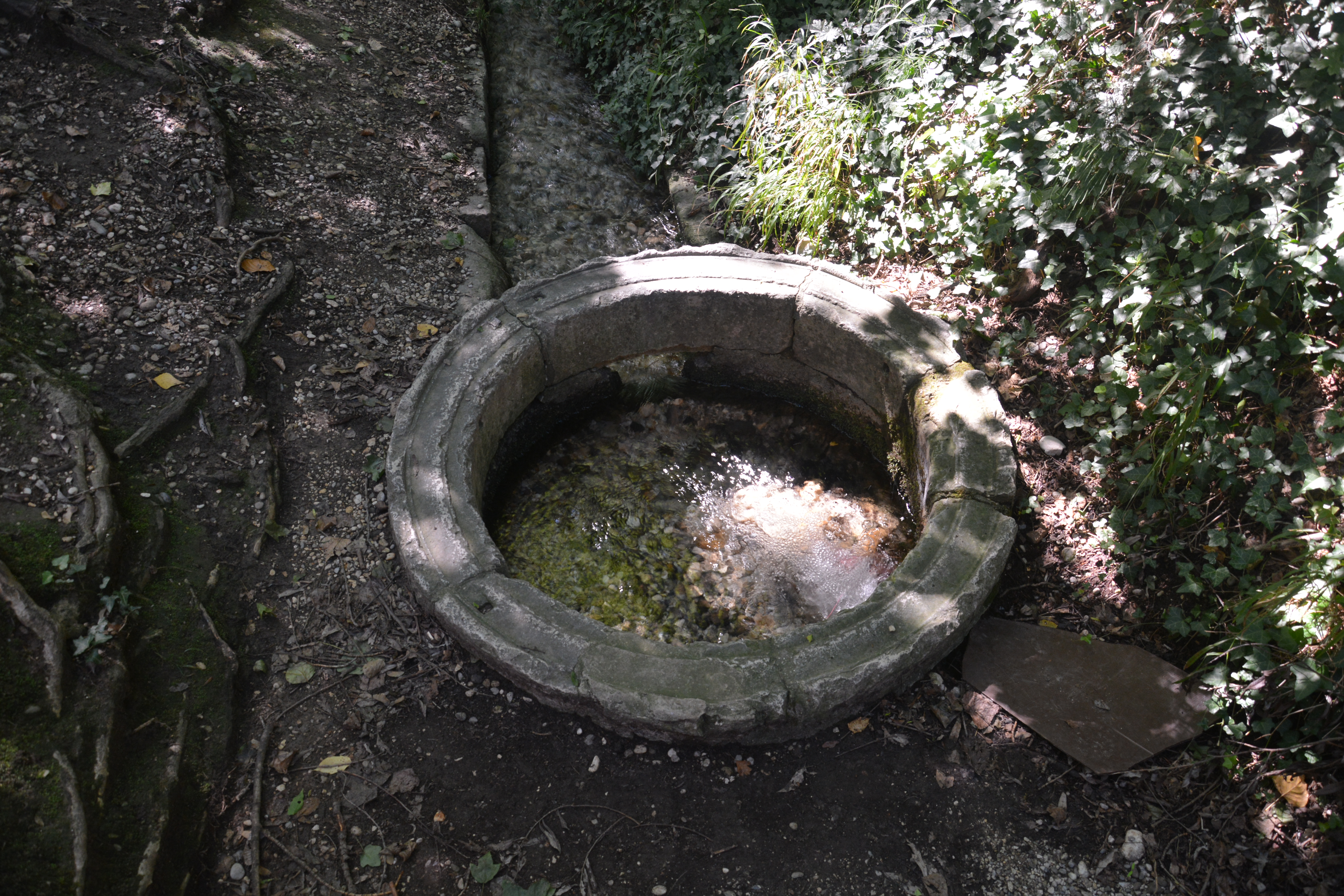 FONTANA DI VENCHIAREDO