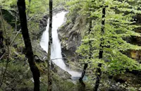 ARZINO CASCATE