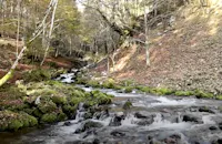 ARZINO CASCATE