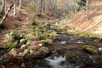 ARZINO CASCATE