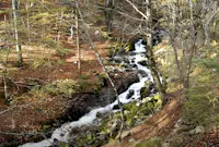 ARZINO CASCATE