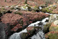 ARZINO CASCATE