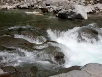 arzino