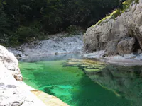 arzino
