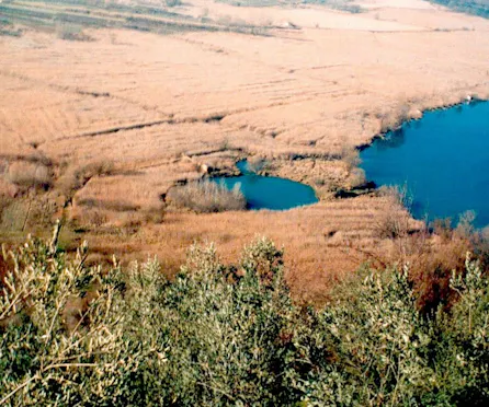 LA "ROTA"