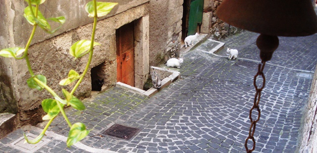 LA CAMPANA IN VIA PONZIANA 95