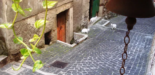 LA CAMPANA IN VIA PONZIANA 95