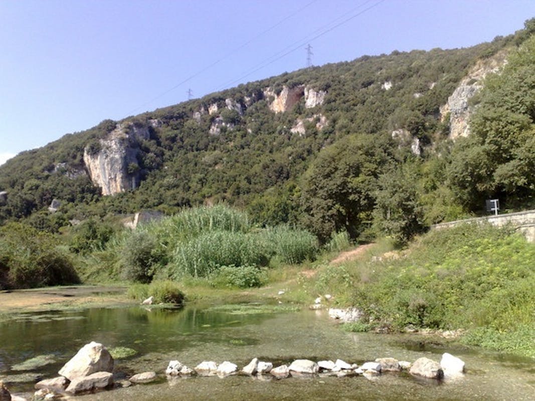 FONTANA MURATA FONTANA MURATA