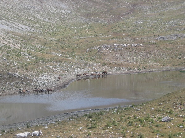 lago della duchessa borgorose ri
