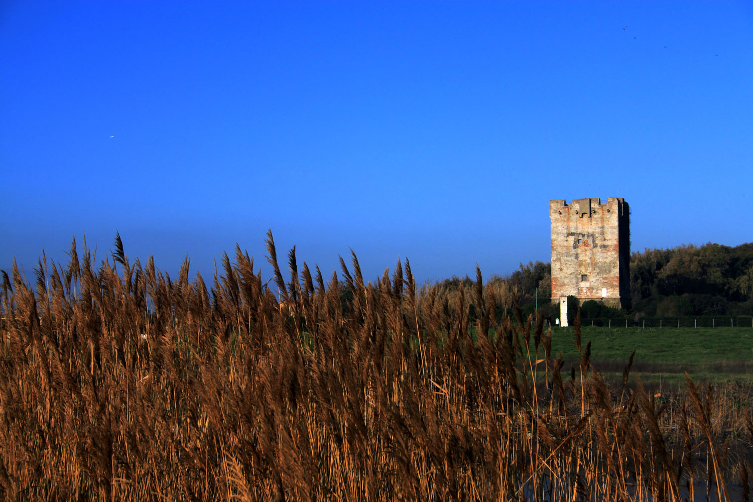 DUNE E TORRE DI PALIDORO