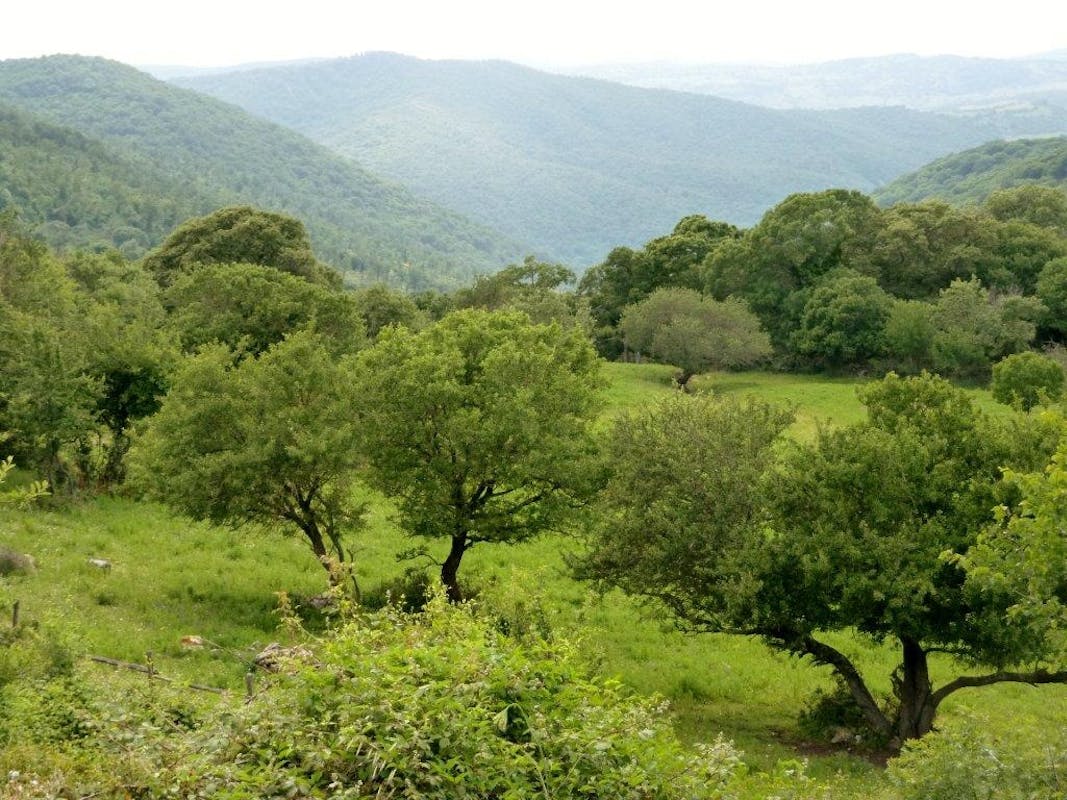 MONTI DELLA TOLFA MONTI DELLA TOLFA