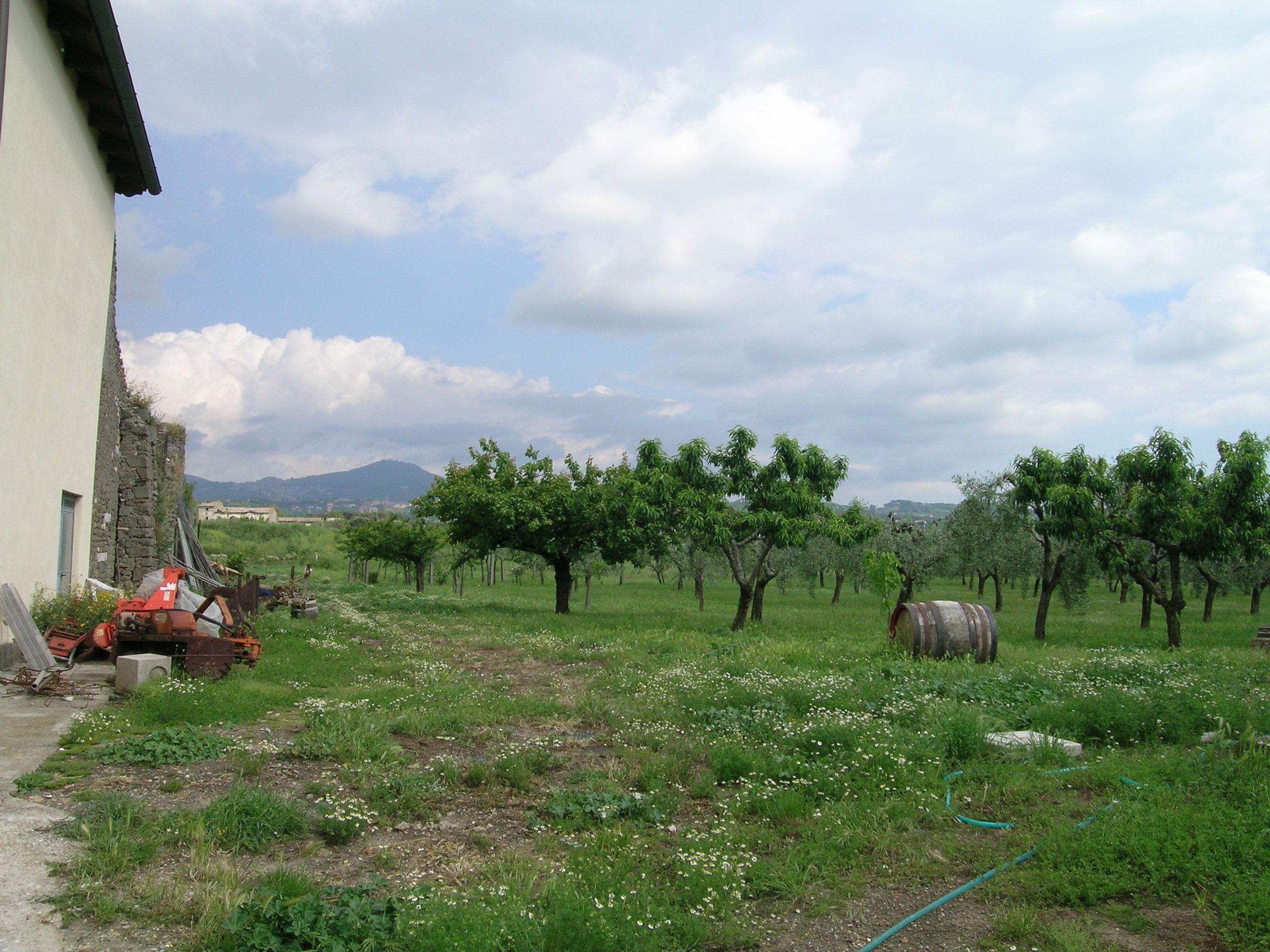 TENUTA DEL MURO DEI FRANCESI - VILLA DEI VALERII