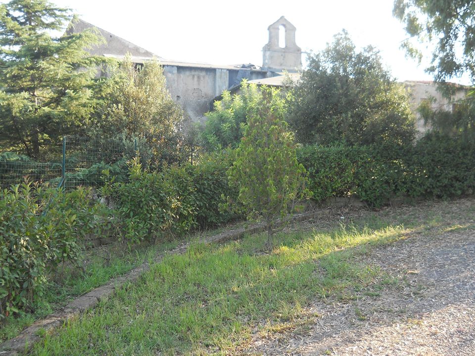 FALCOGNANA