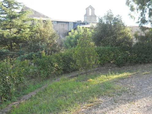 FALCOGNANA