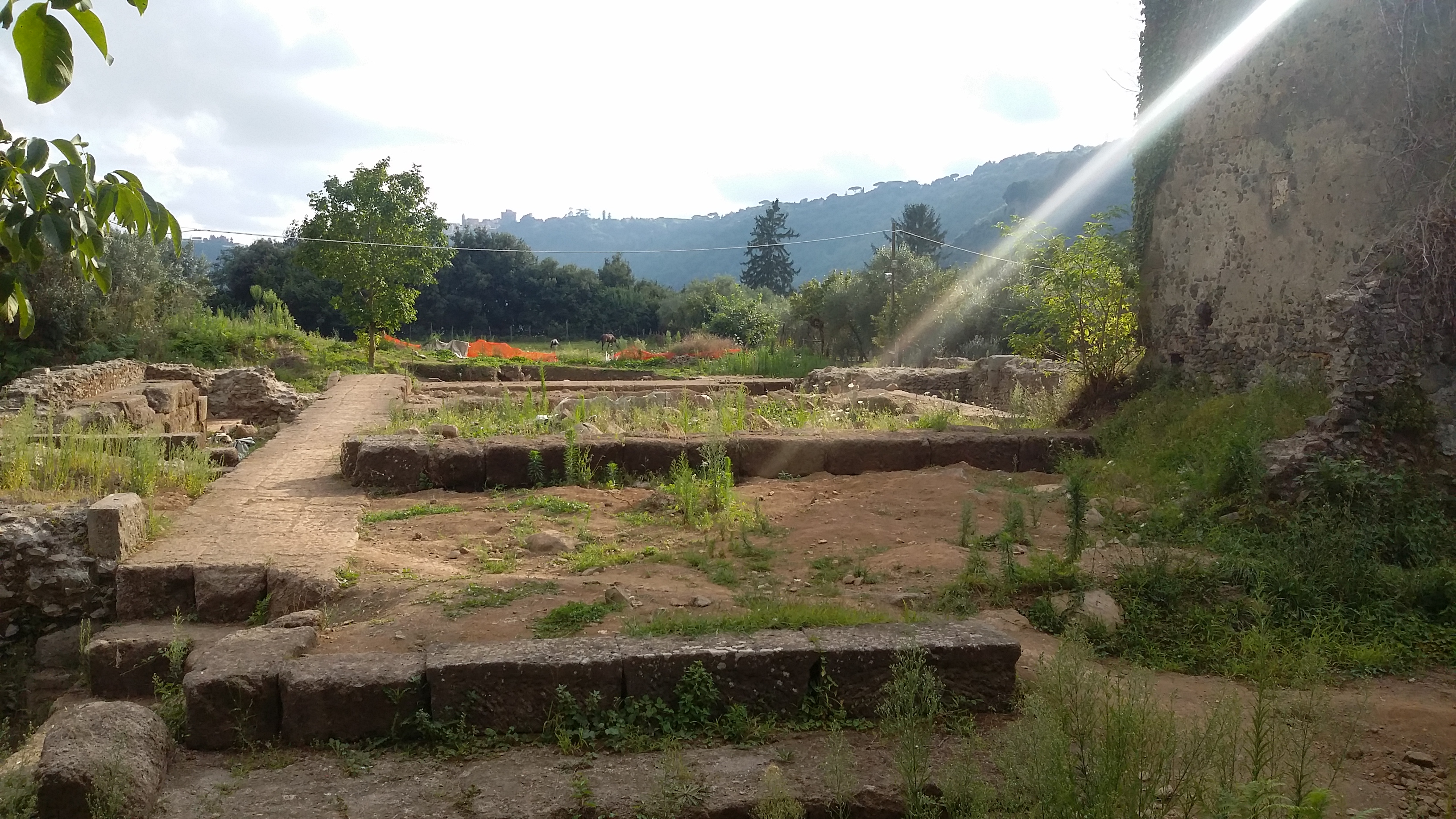 SANTUARIO DI DIANA NEMORENSE