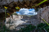 I Luoghi del Cuore - Calidarium di Aquae Tauri