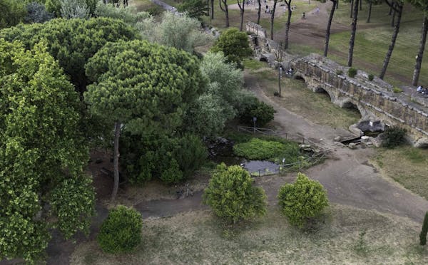 IL LAGHETTO DEL PARCO DEGLI ACQUEDOTTI
