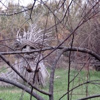 la palude di torre flavia la palude di torre flavia