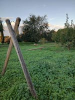 Parco della Madonnetta