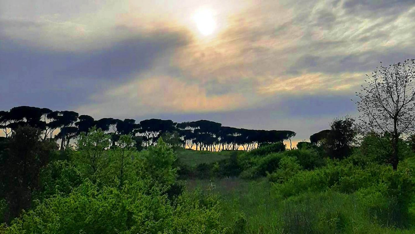 pineta sacchetti pineta sacchetti