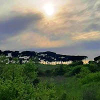 pineta sacchetti pineta sacchetti