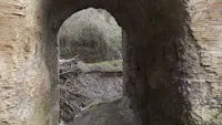 Ponte Lupo