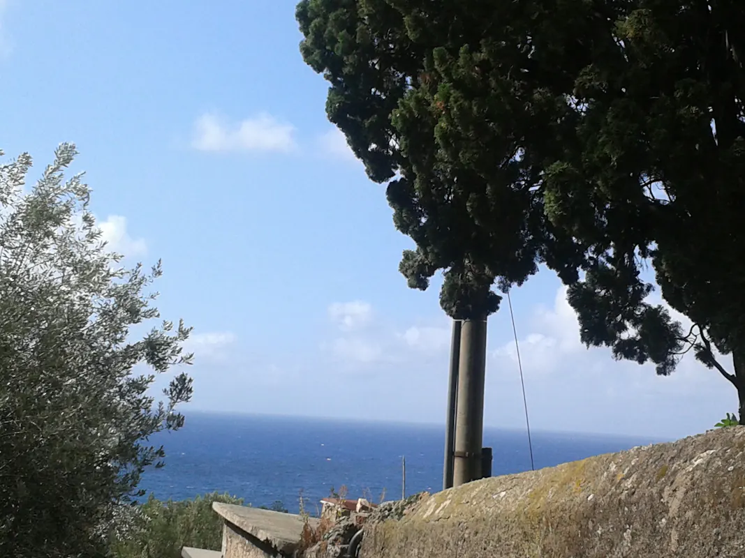 NERVI NERVI