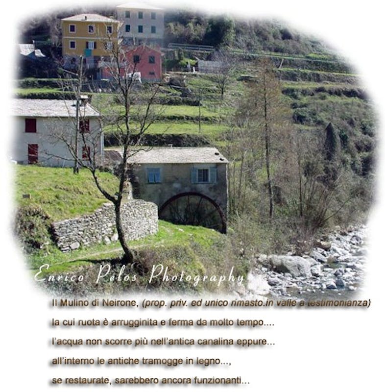 MULINO DI NEIRONE MULINO DI NEIRONE